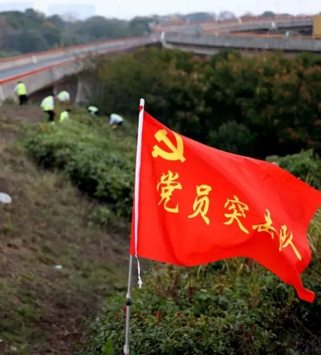 九江二桥组织开展“加拿大一枝黄花”清除行动