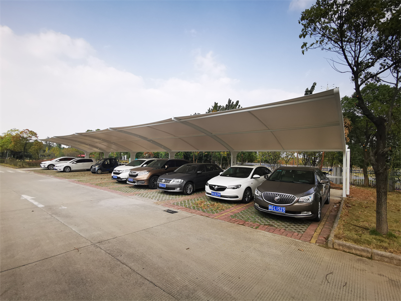 车棚改造暖人心，主题教育见实效，以党建引领办好身边“小事”