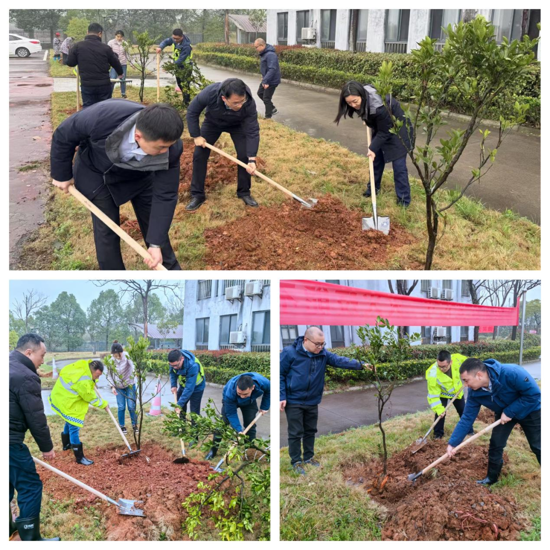 春风植绿正当时 青春力量践担当—— 九江二桥开展2025年植树节活动