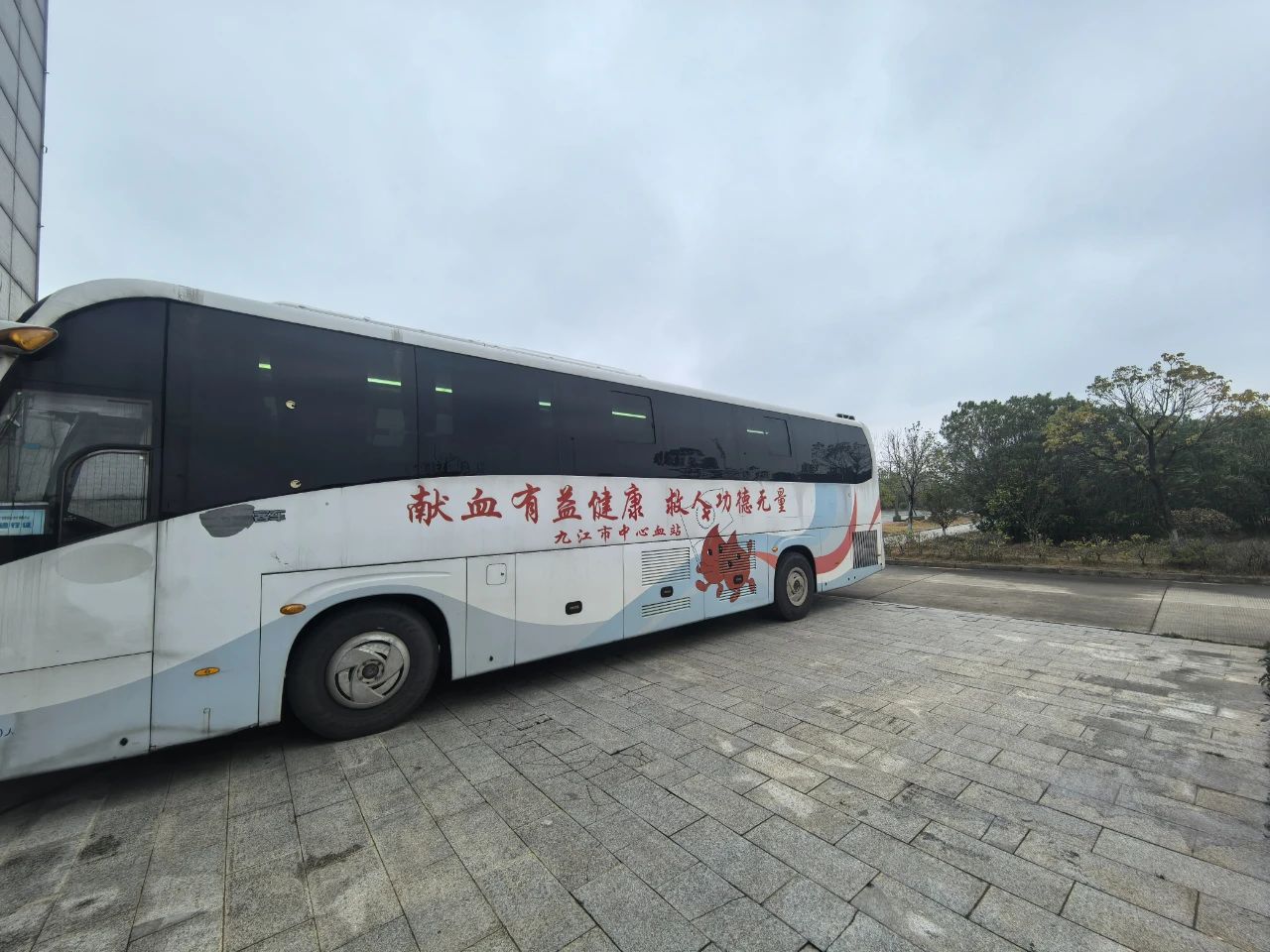 九江二桥践行企业社会责任 丨学雷锋献血活动彰显爱心与担当