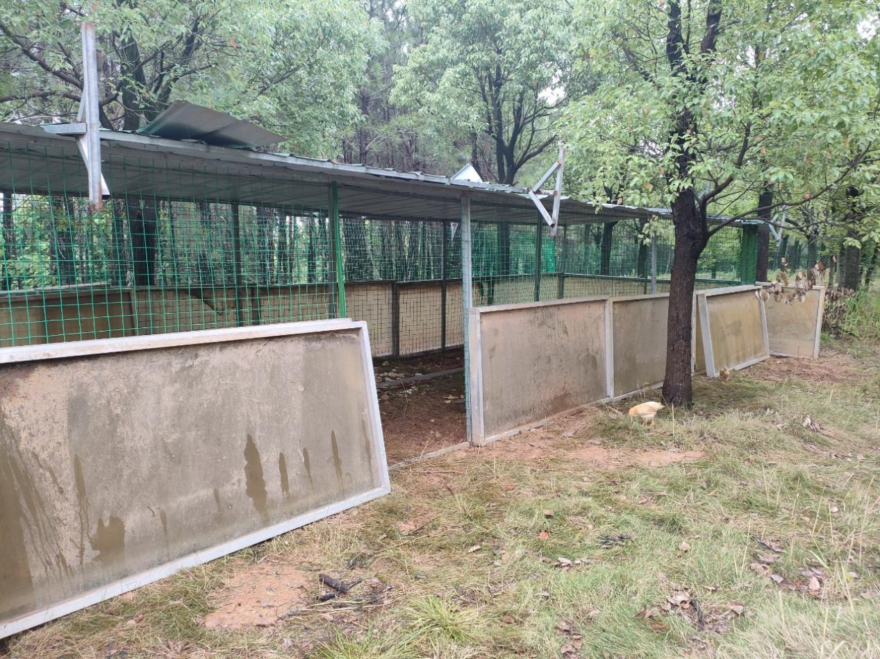 九江二桥“种养结合”新动态——打造高性价比生态棚区