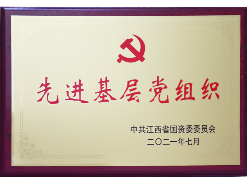 2021年先进基层党组织